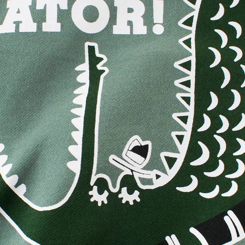 Baby Boy Green Crocodile Sweater 90cm Cotton Long Sleeve